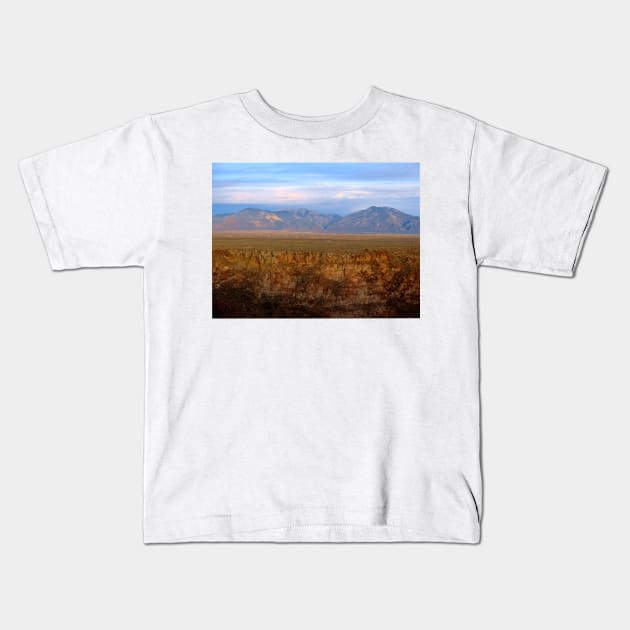 New Mexico Gorge with Mountains Kids T-Shirt by softbluehum